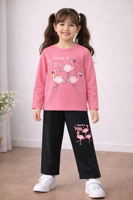 I Dream in Pink Flamingo Girls T-Shirt & Trouser Co-Ord Set